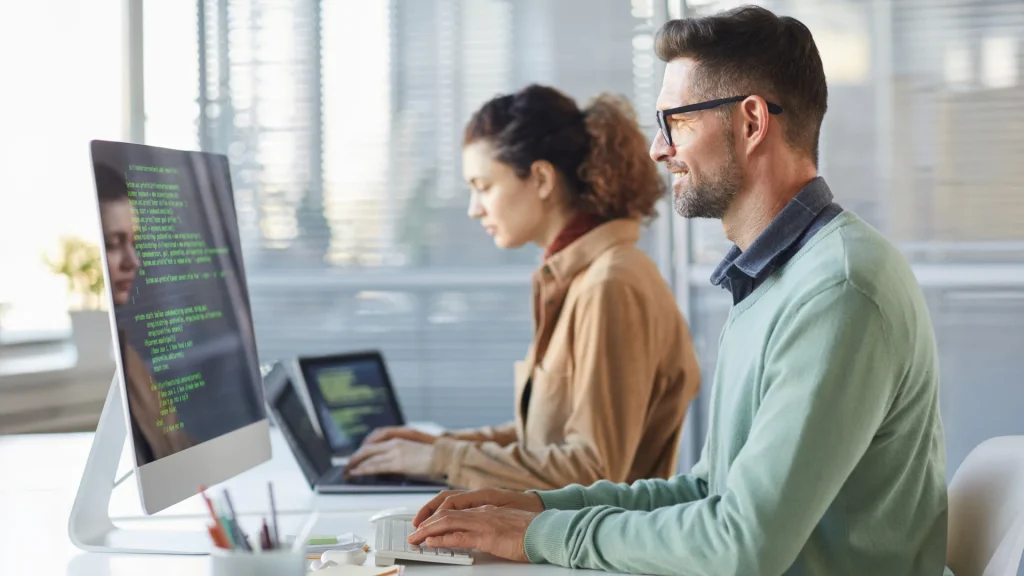 perfect software development partner