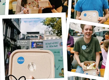 caulibox branding  