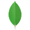 MongoDB Technology Logo